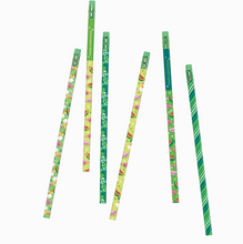 Load image into Gallery viewer, Lil&#39; Juicy Scented Pencils- Watermelon

