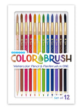 Load image into Gallery viewer, COLORBRUSH - watercolor 
pencil/paintbrush 
- SET OF 12
