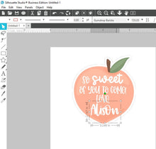 Load image into Gallery viewer, Peach Printable File - Digital Download PNG - Cricut - Sticker Sheet for Treat Bags - One Is Sweet - Sweet As A Peach - Birthday Peach Theme