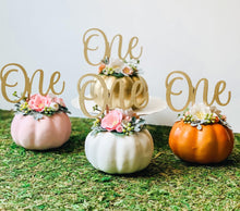 Load image into Gallery viewer, White Pumpkin Cake Topper - Little Pumpkin - Pumpkin Theme - First 1st Birthday - Baby Shower - Floral Pumpkin Cake Topper