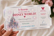 Load image into Gallery viewer, Disneyland/Disneyworld Surprise Ticket
